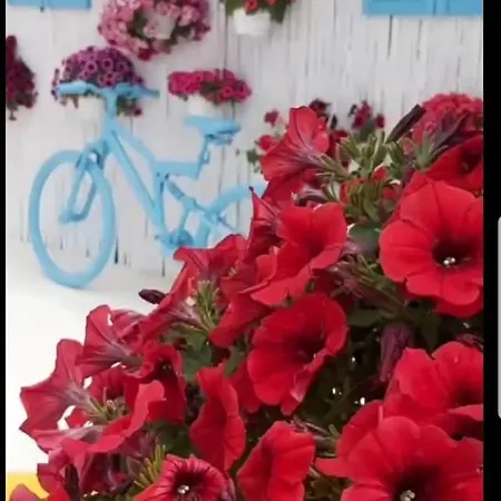 Hotel Duru Boutique Hotel Bodrum